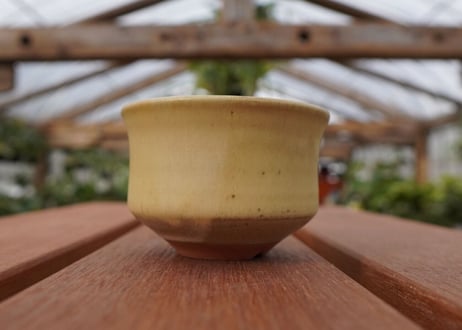 關まどか pot NO.26-3 F