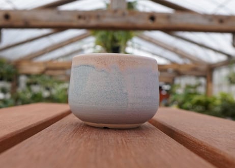 關まどか pot NO.27-2　Ｇ