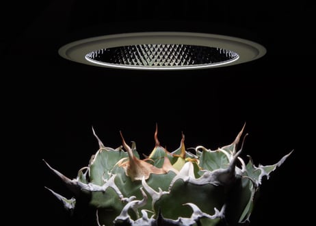 Helios Green LED   植物育成ライト