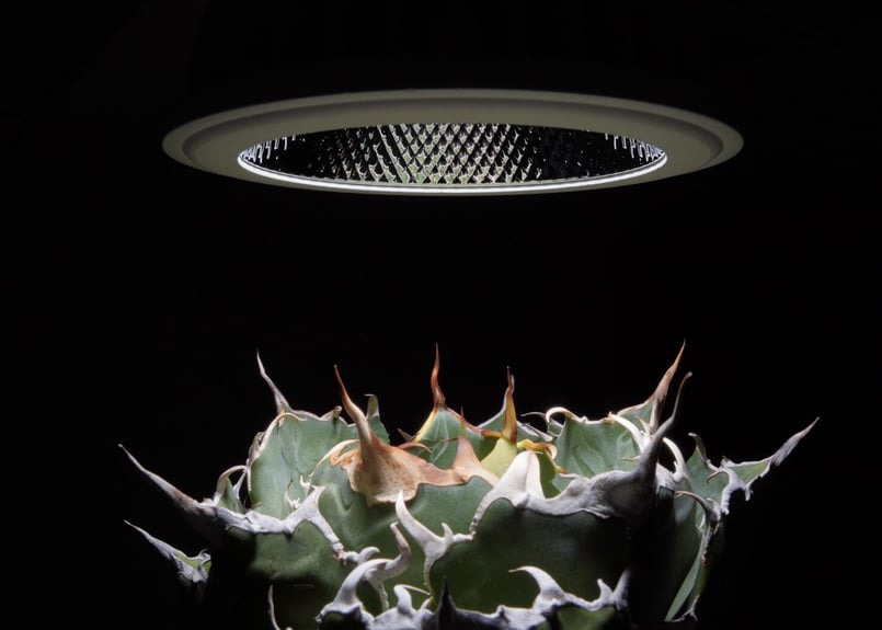 Helios Green LED 植物育成ライト | mana's green:塊根植物販 Helios Green LED 植物育成ライト | mana's green:塊根植物販