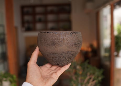 沼野秀章 pot No.10