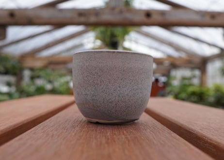 關まどか pot NO.30-5 F