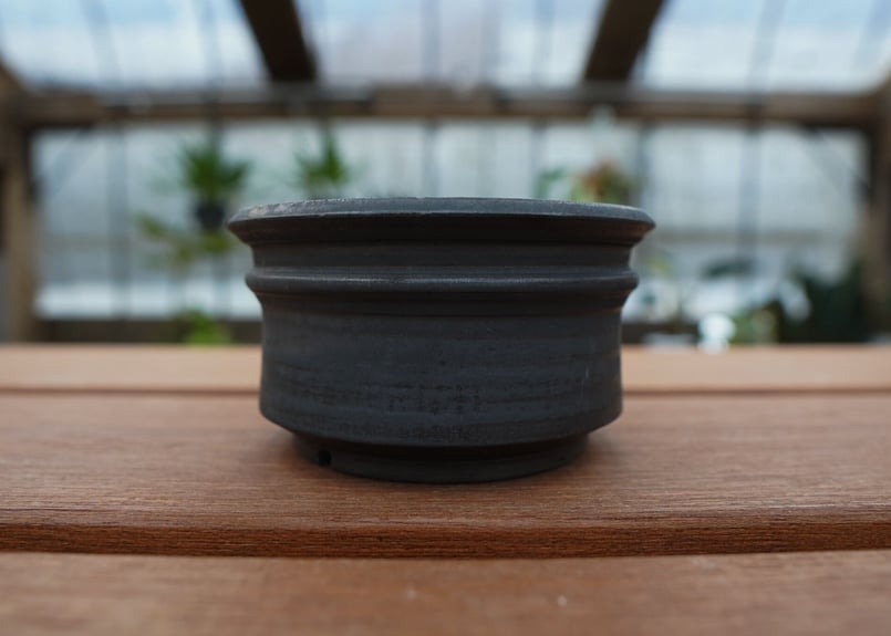 保田修作 pot No.17 | mana's farm:塊根植物・アガベ・ドライガーデン植