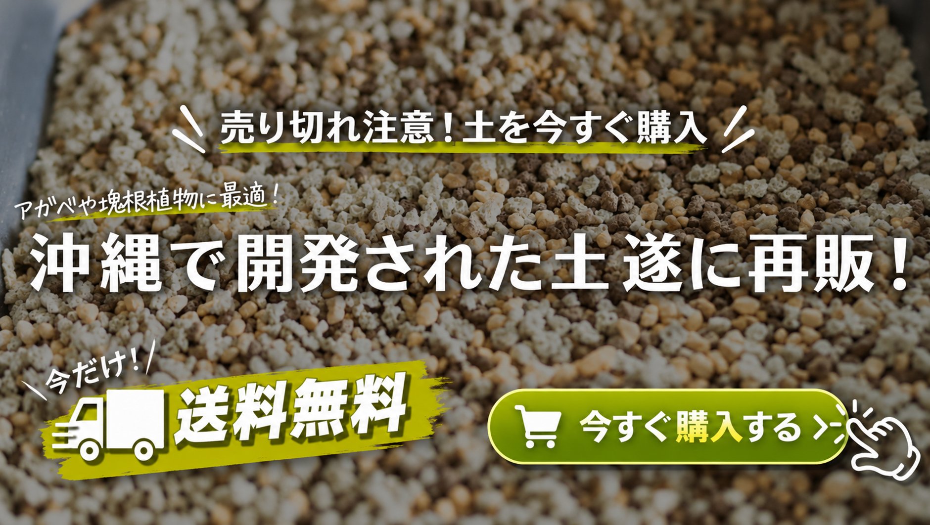 mana's farm:塊根植物・アガベ・ドライガーデン植物販売|マナズファーム
