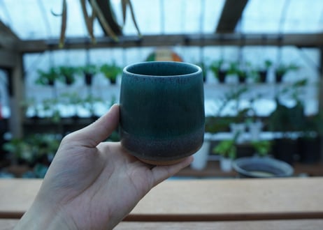持木祐一 pot  No.44