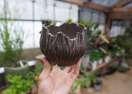 保田修作  pot No.8