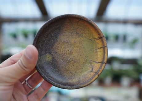hechicami pot NO.13