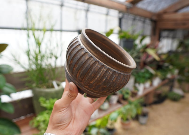 保田修作 pot No.27 | mana's farm:塊根植物・アガベ・ドライガーデン植