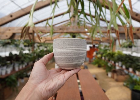 關まどか pot NO.22-5　F