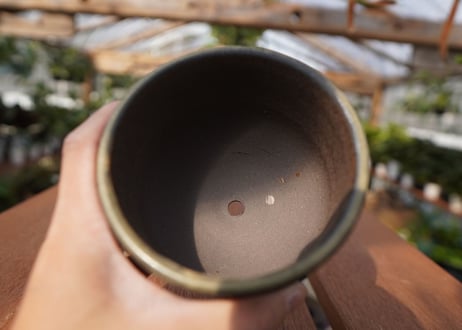 關まどか pot NO.14-1　F