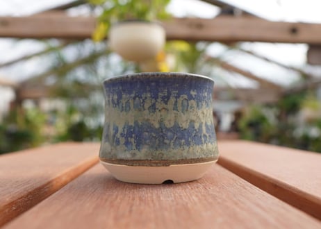 關まどか pot NO.7-4　F