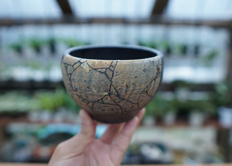 hechicami pot NO.9