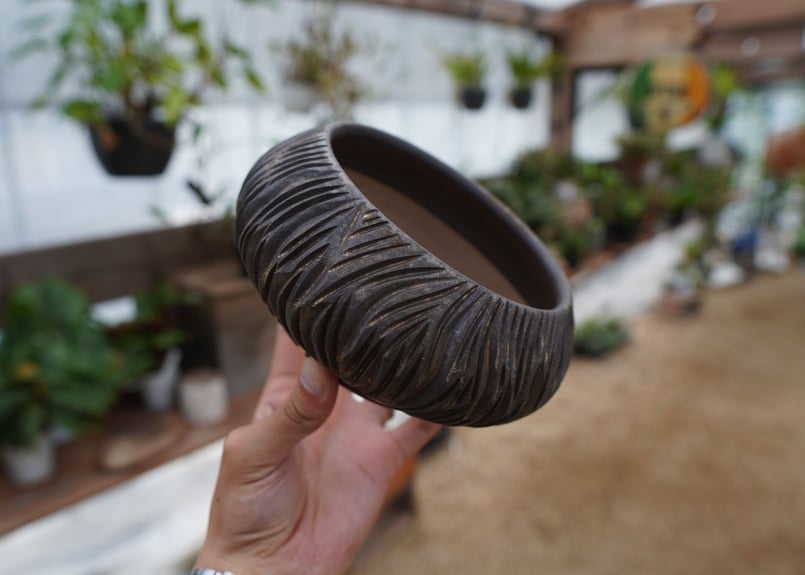 保田修作 癖鉢 【まとめ買いで5%off！】 保田修作 pot No.7 | mana's farm:塊根植物・アガベ・ドライガーデン