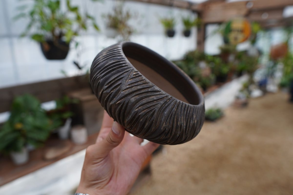 保田修作　　植木鉢　【塊根植物　多肉植物 カリグラフィー 器 陶器 作家】 保田修作 pot No.7 | mana's farm:塊根植物・アガベ・ドライガーデン