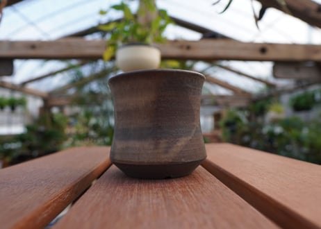 關まどか pot NO.11-5 F