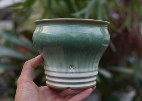 持木祐一pot NO.22