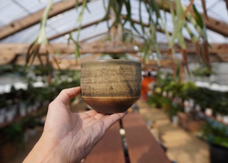 關まどか pot NO.14-2　F