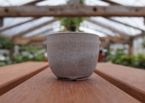 關まどか pot NO.30-5 F