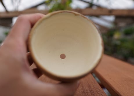 關まどか pot NO.1-1　F
