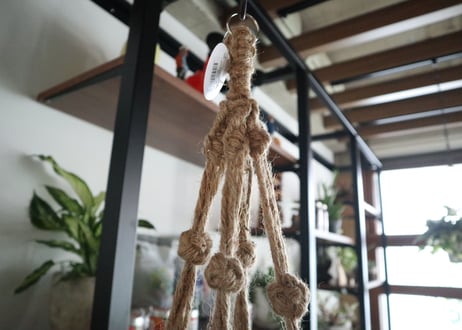 植物にちょっとしたスパイスを。＊マクラメロングタイプ