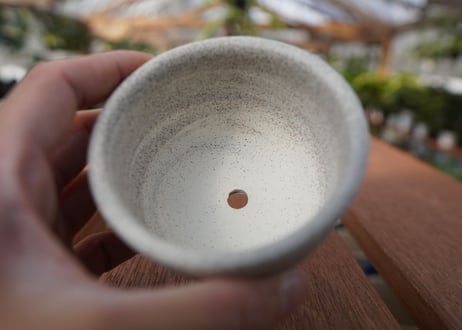 關まどか pot NO.19-1 F
