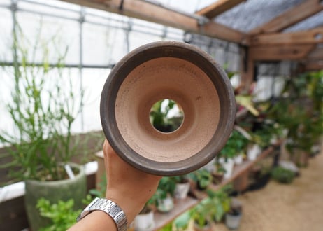 保田修作  pot No.29