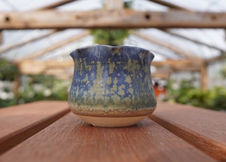 關まどか pot NO.12-2 F