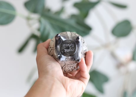 枯れない“Glasscilius black form ” no.3