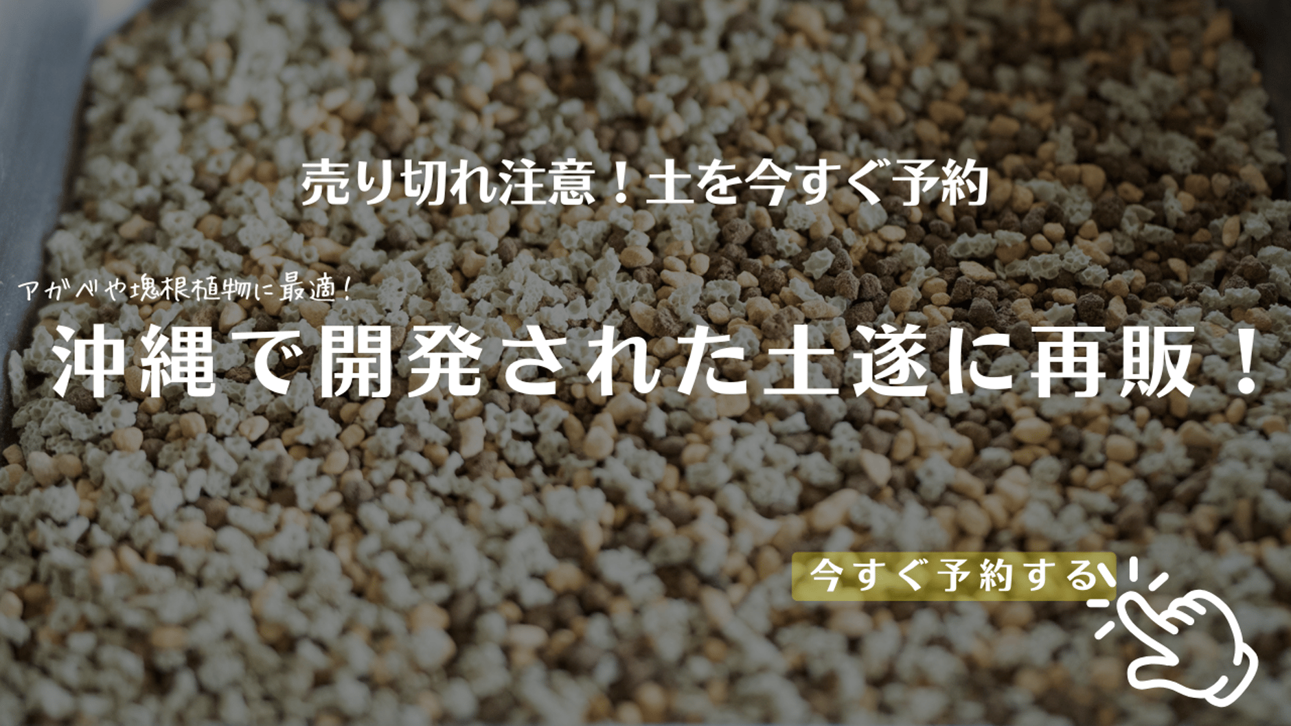 ソウラボアガベ　mana's farm ４周年祭限定アイテム ソウラボx マナズファーム Kabusemono アガベ 4周年 限定品