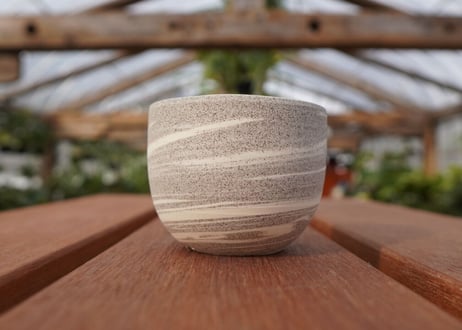 關まどか pot NO.22-7　Ｇ