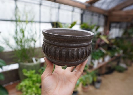 保田修作  pot No.22