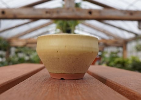 關まどか pot NO.26-2　Ｇ