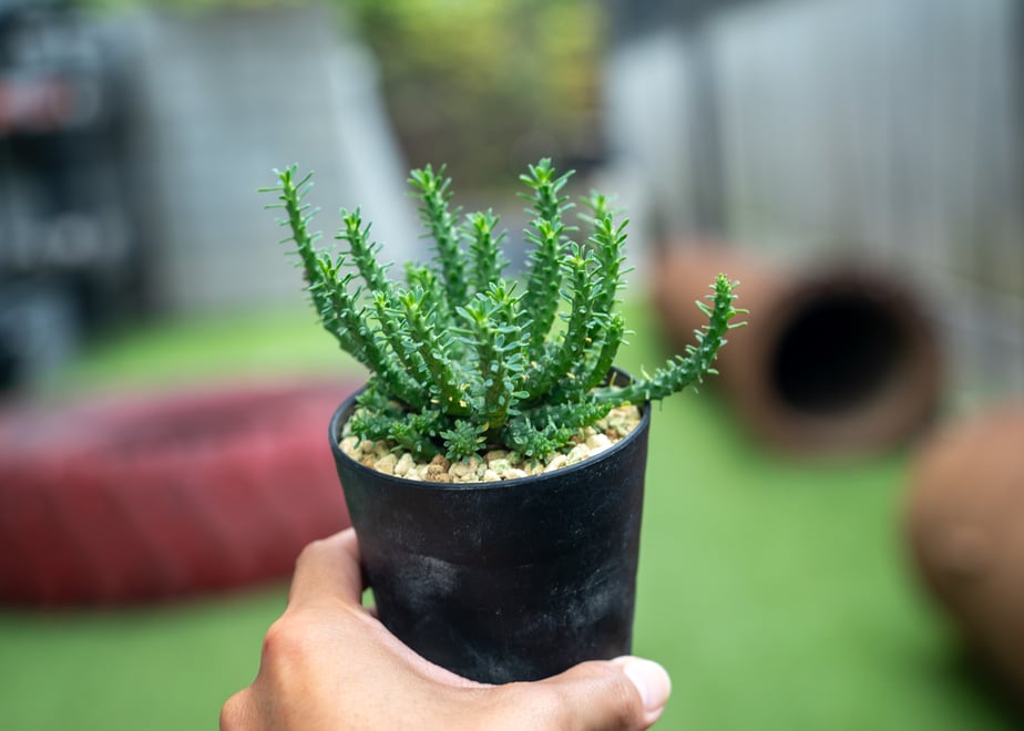 66cd487bbf7b8f0a3c37d230