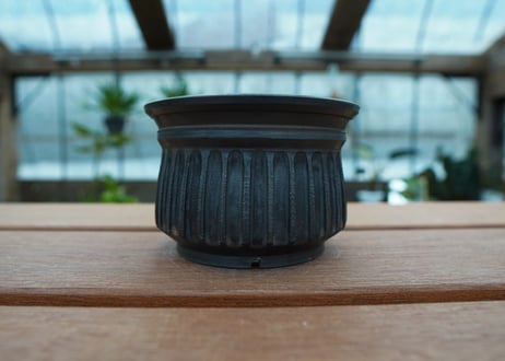 保田修作  pot No.66