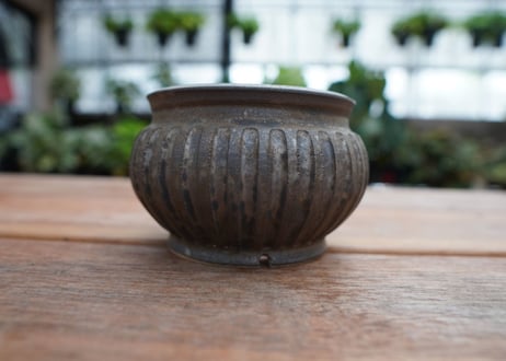 保田修作  pot No.16