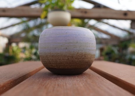關まどか pot NO.9-1 F
