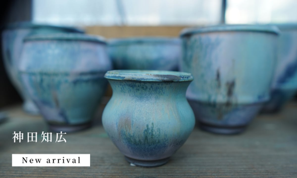 神田知広氏の鉢が再入荷しました。 | mana's farm:塊根植物・アガベ