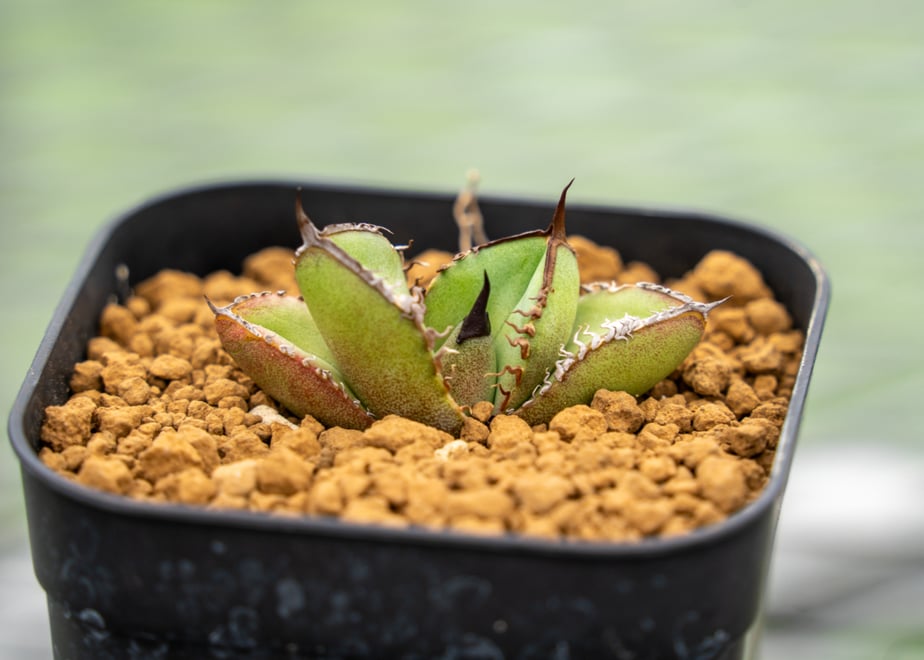 69c23a02130f3400439a09d0