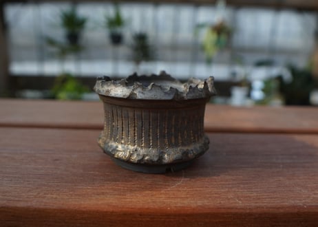 保田修作  pot No.11