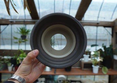 保田修作  pot No.72