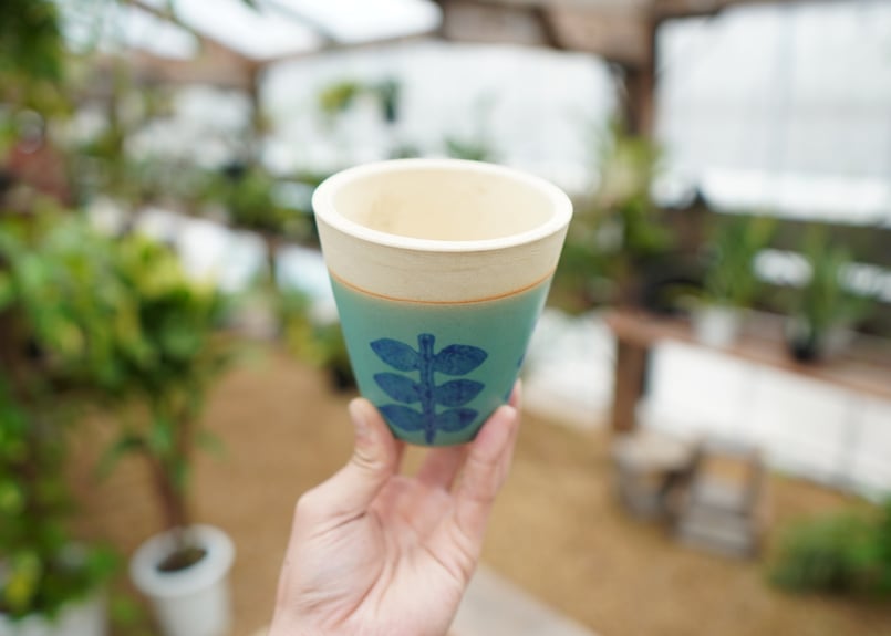 植木鉢 鉢皿付き No.5 | mana's farm:塊根植物・アガベ・ドライ