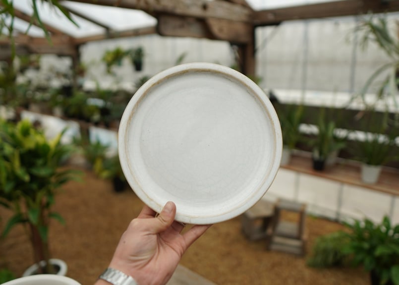 植木鉢 鉢皿付き No.4 | mana's farm:塊根植物・アガベ・ドライ