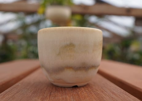 關まどか pot NO.1-5　F