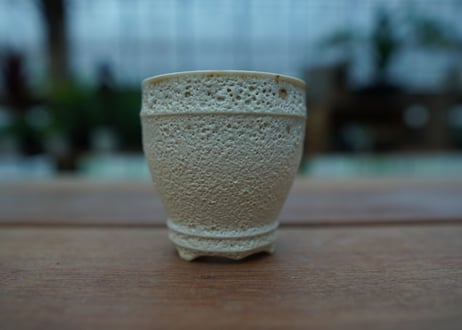 Muddy Punk pot No.19