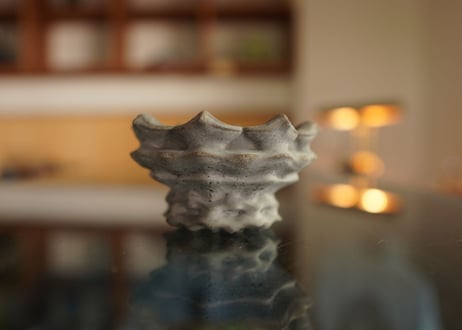 十十 草冠 pot  No.2