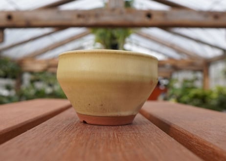 關まどか pot NO.26-2　Ｇ