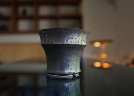 CATEGORY Calvero | mana's farm:塊根植物・アガベ・ドライガーデン