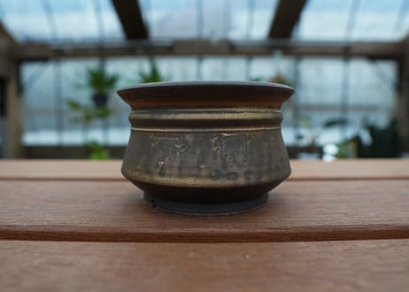 保田修作  pot No.31