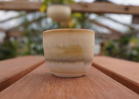 關まどか pot NO.1-6　F