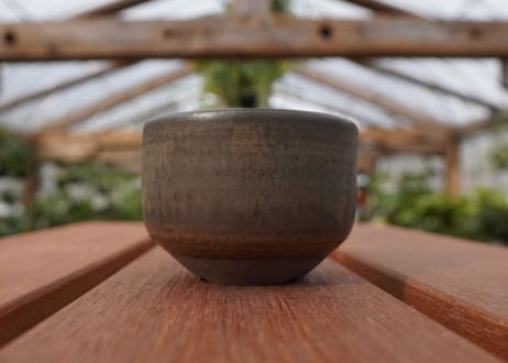 關まどか pot NO.25-2　Ｇ